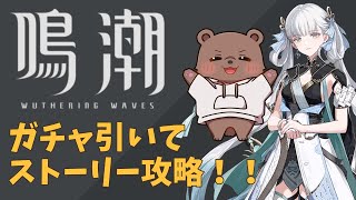 【#鳴潮 】Ver1.1到来！！！ガチャ引いて最大限に楽しむ！！！【Vtuber/熊野ばーどん】