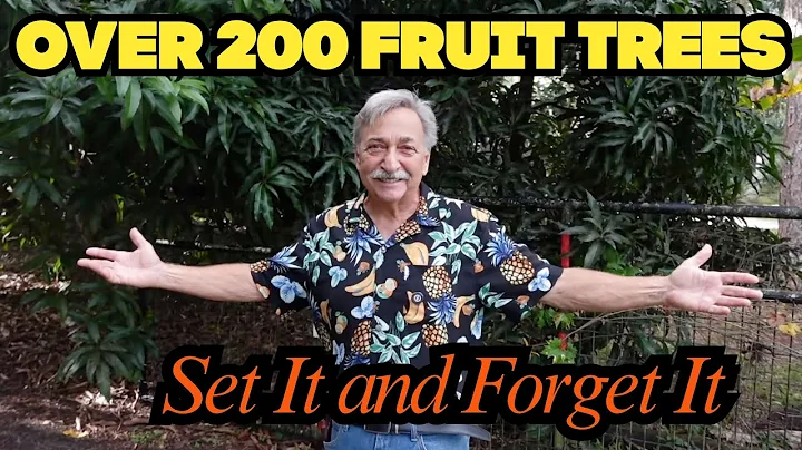 Growing Fruit Trees Without Spraying Watering or Overthinking
