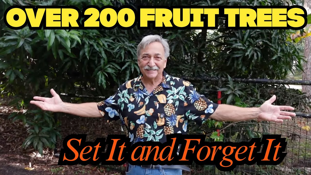 Growing Fruit Trees Without Spraying Watering or Overthinking