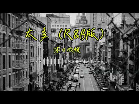落日微醺 | 太多（R&B版）『如果你覺得自由是快樂愛是犯了軟弱陳舊的差錯』【動態歌詞MV】