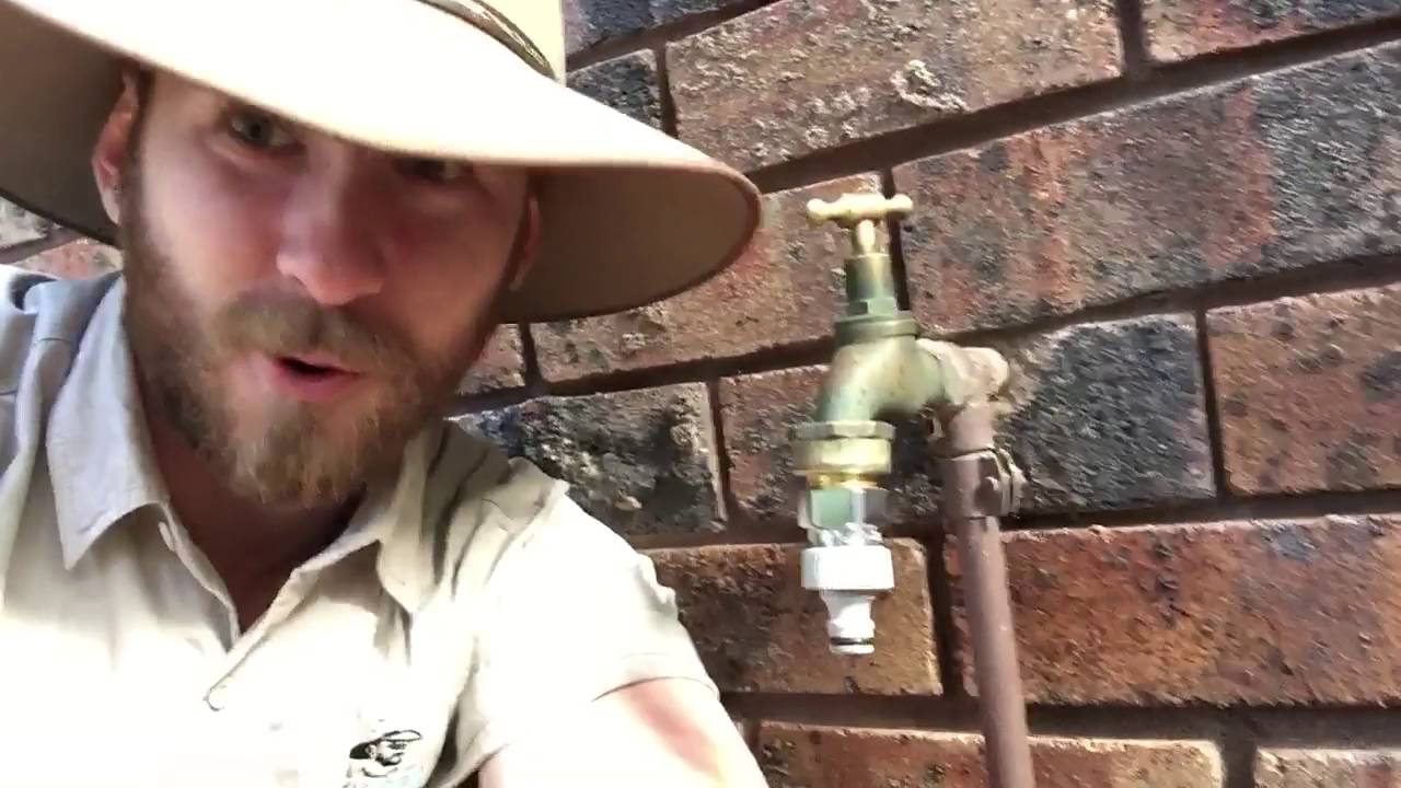 wildlife tea TURN OFF YOUR TAPS with Ranger Jamie