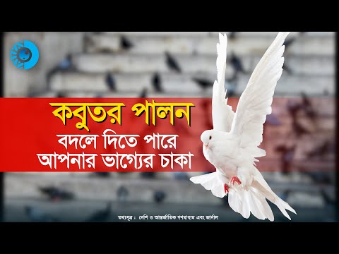 ভিডিও: রিড শান্তির প্রতীক কেন?