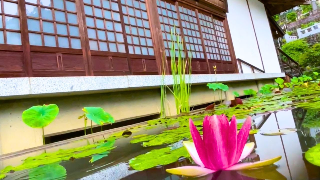 Tabibito no uta (Fukuda Rando) | Shakuhachi | Chichibu Fudasho