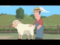 Shear Me - Family Guy