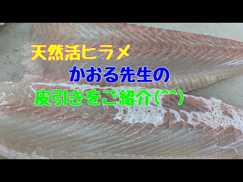 天然活けヒラメ かおる先生の魚の皮引きお見せします サクッと皮引き Youtube