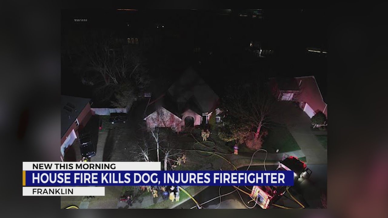 House fire kills dog, injures firefighter - YouTube