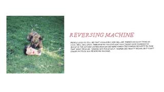 Joyce Manor - "Reversing Machine" (Full Album Stream)