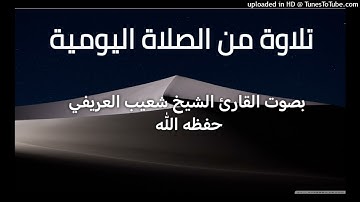 سورة الفاتحة ونوح _ بصوت القارئ الشيخ شعيب العريفي حفظه الله