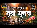 রাতে ঘুমানোর আগে এই সূরা মুলক শুনুন 🌙 | Surah Mulk Tilawat | سورة الملك | Shamsul Haqe