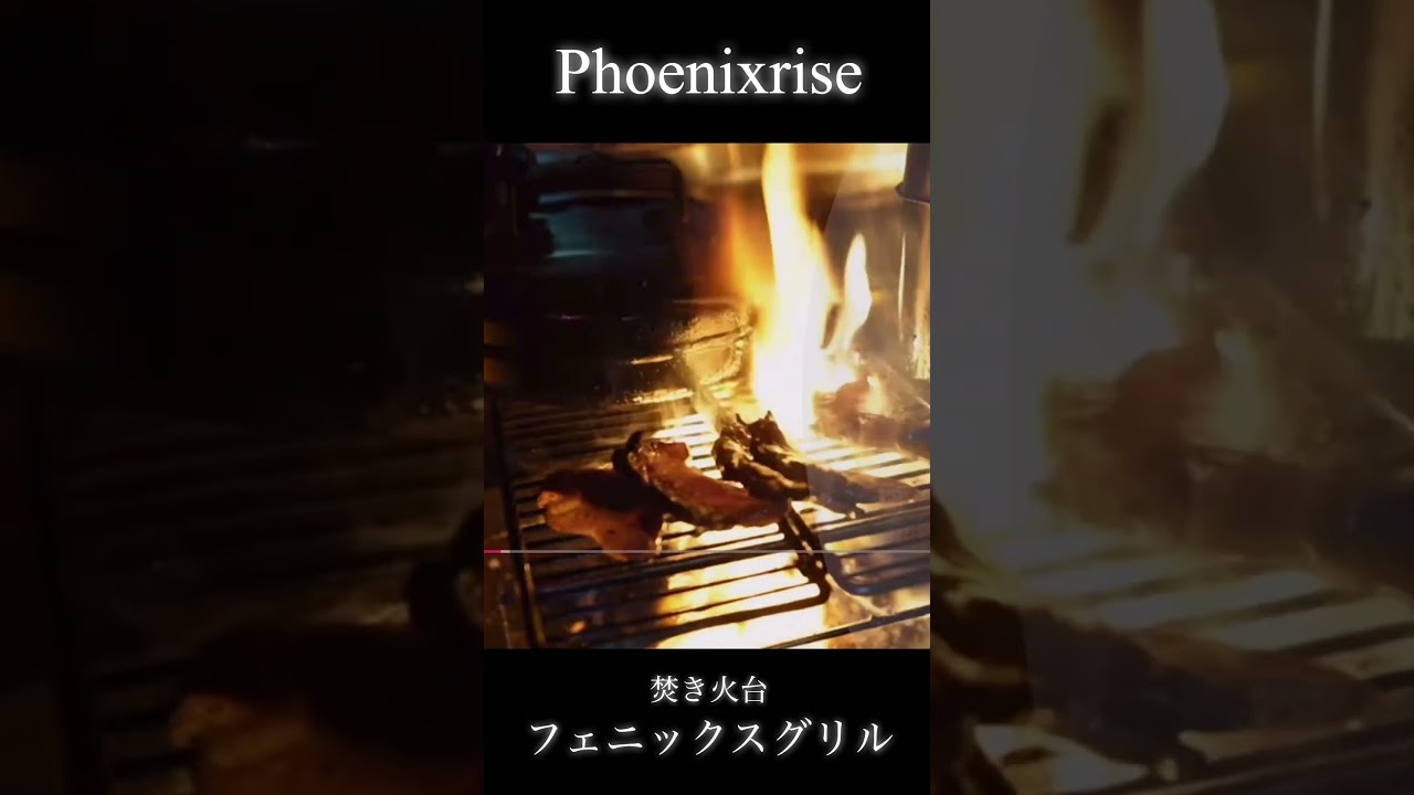 REF01]ソロ用リフレクター(SuperOverDrive 外壁) | Phoenixrise