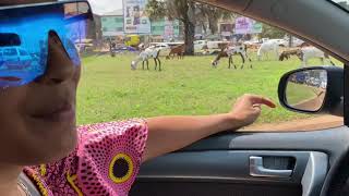 Fufu Y Pixbae En Ghana