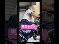 見えた？見ちゃダメ#ノンチャン #レインボー社長 #shorts #へっぽこ社長 #z1000mk2