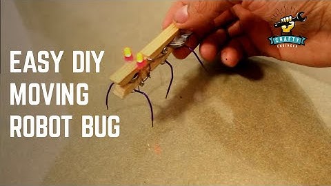 How to Make a Moving Robot Bug