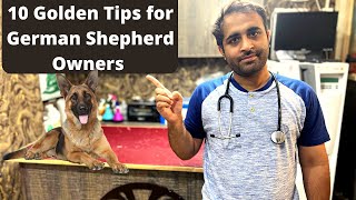 10 German Shepherd Care Tips | Golden rules to keep GSD screenshot 2