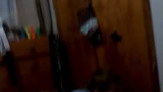 28 March 2019 Profile