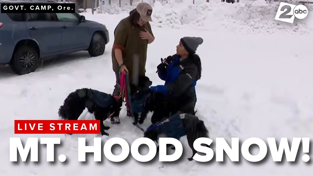 Heavy snow blankets Cascades as storm warning remains through Thursday ...