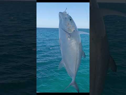 Video: Paras tekemistä Deerfield Beachissä, Floridassa