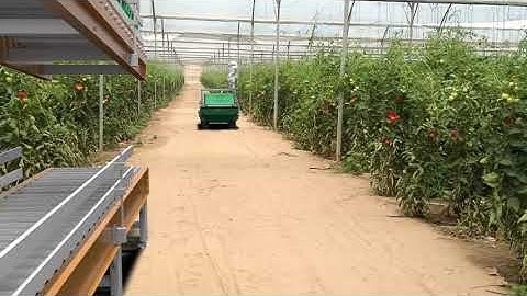 Tomato harvester on Automato