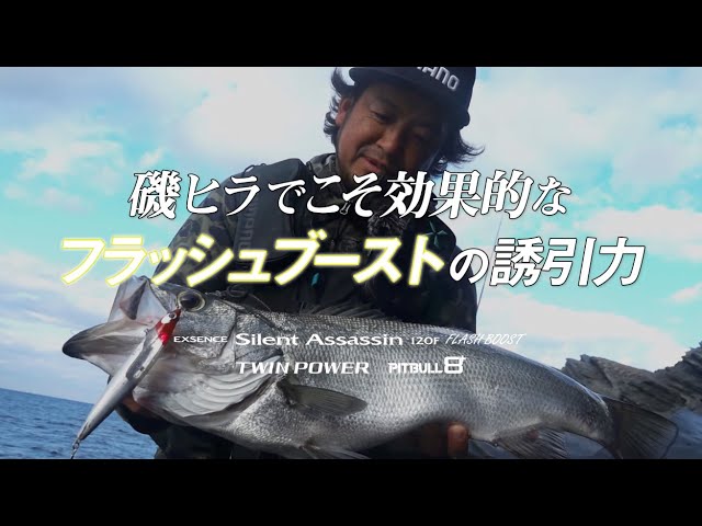 磯ヒラでこそ効果的なブラッシュブーストの誘引力 - YouTube