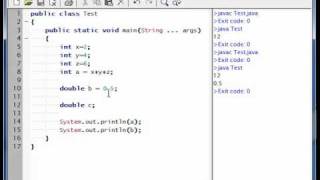 Java Tutorial #5 Variable Net Worth