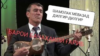 Махмадали Аюби. Шамолак мевазад дилгир дилгир