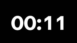 11 Second Timer