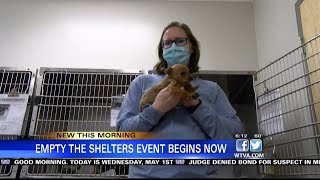 Shelters in northeast Mississippi are participating in the 'Empty the Shelters' event