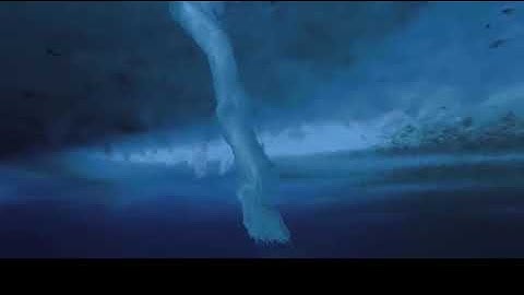 "Ngón tay tử thần": Hiện tượng kỳ lạ giết chết hàng loạt sinh vật biển