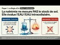 Maîtriser les Dysnatrémies item 267