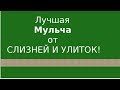 Мульчирование от слизней и улиток. СУПЕР ПРОСТО!