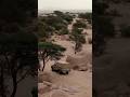 نبي ديرة من دونها يقطع الارسال فيديو اكسبلور علي المطرودي