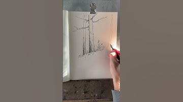 Drawing trees with ink