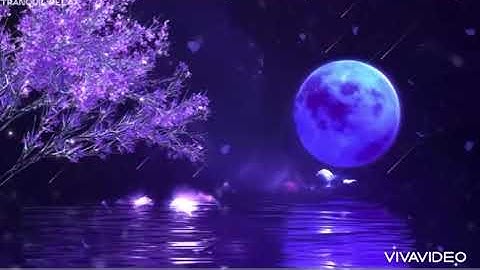 Mianaa- Go to the moon