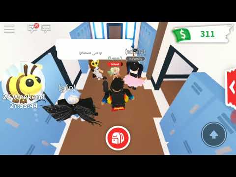 მეგობრაბო ვიდეომ ჩაწერა შეწყვიტა მაპატიეთ