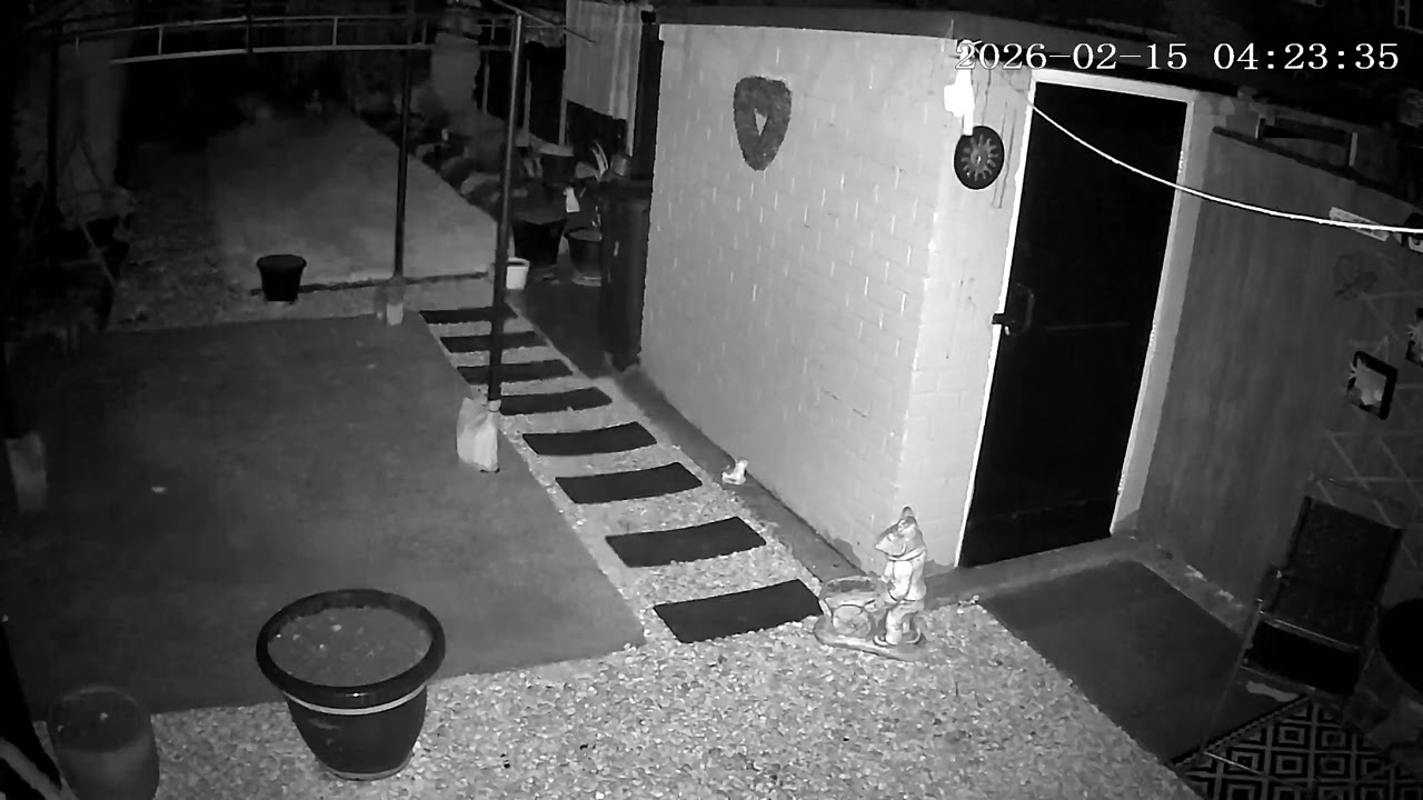 (15/2/2026) 4:22am HULL (Uk) BYC [0534]