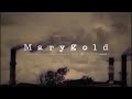 Marygold 歌ってみた*名称未設定☽