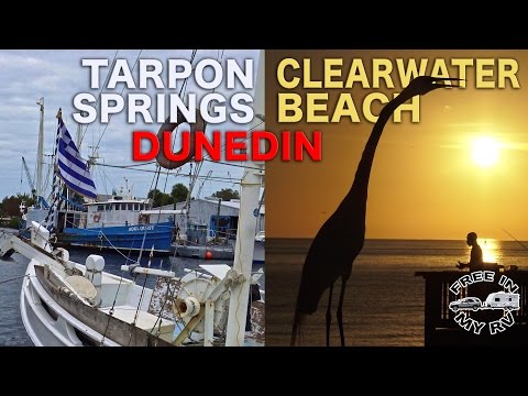 Tarpon Springs, Dunedin, and Clearwater Beach - Traveling Robert