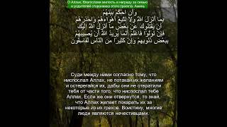 Коран Сура Аль-Маида | 5:49 | Чтение Корана с русским переводом | Quran Translation #quran ٱلمائدة