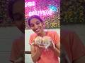Animals Lovers ఎంతమంది ఉన్నారు..?🐈🥰#shortsfeed #bangalore #whitefield #friendscoliving #pg #babycats
