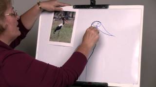 Helpful Tips from Sharon: Refining your Project