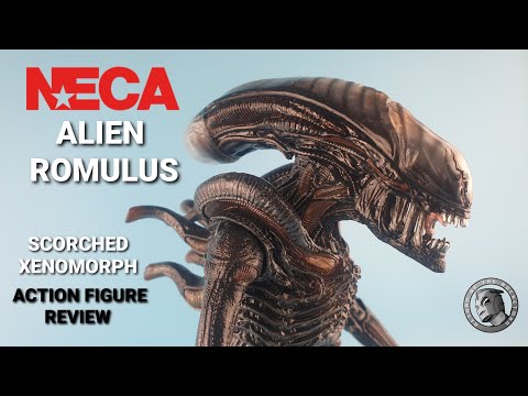 SF・ファンタジー・ホラー NECA Alien: Romulus Scorched Xenomorph Alien: Romulus Bundle – NECA