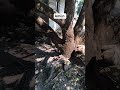 #yukberdoa #like #motivation #subscribe #love #satuklikuntukwujudkanimpianmu #viral kun fayakun #fyp