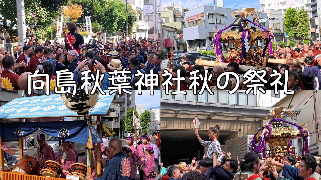 向島秋葉神社2025年秋の祭礼 本社大みこしの渡御