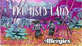 The Allergies - You