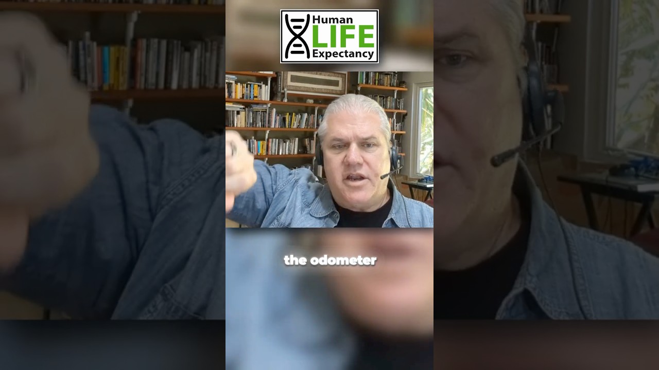 TURNING BACK ODOMETER of Time 