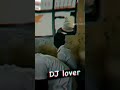 DJ LOVER mp3