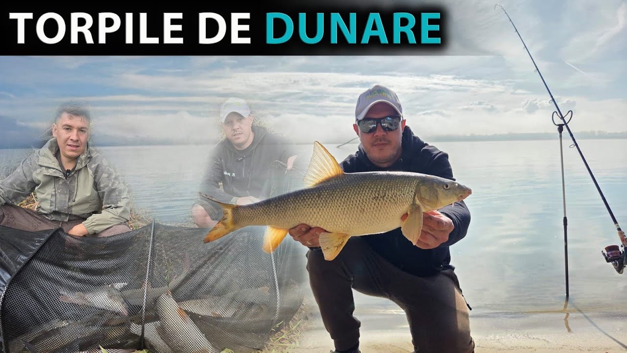 In cautarea mrenelor mari pe Dunare