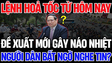 Bí Mật Camera Kiểm Soát Khí Thải ở TP.HCM: Bạn Có Bị Phạt?| Vấn Đề Cơ Bản