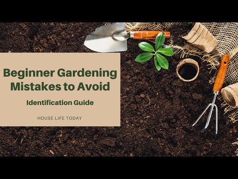 Beginner Gardening Mistakes