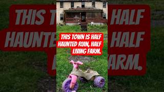 Why Does This Abandoned Town Have a Feral Cat Rescue? Yellow Dog Village